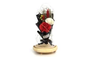 Fanus Gül 28/14cm Cam Fanus Led Işıklı Hediyelik - 4