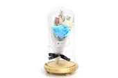 Fanus Gül 28/14cm Cam Fanus Led Işıklı Hediyelik - 3
