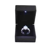 925 Ayar Kadın Gümüş (Silver) Yüzük - 1