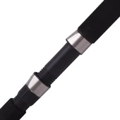Albastar Arda 1003 240 cm 100-200g Aksiyonlu Vidalı Tekne Kamışı - 2