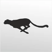 Folyo Sticker Çita - 1