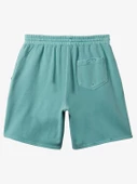Quıksılver SALT WATER FLEECE Erkek Şort AQYFB03035-QK.BHA0 thumbnail 2