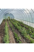 Sera Naylonu 10x23 mt Sera Uzun Ömürlü Koruma: 140 Mikron UV + EVA Katkılı Şeffaf Naylon Örtü - 4