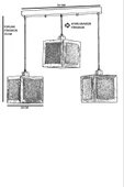 Lumexx KUMSAL 3 LÜ SIRALI CEVİZ RATTAN AVİZE - 3