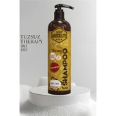 ModaCar Tuzsuz Nano Saç Şampuanı Absolute Professional - 1