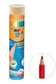 Bic Kids Evolution Metal Tüpte Kuru Boya Kalemi 12+1 - 1
