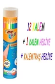 Bic Kids Evolution Metal Tüpte Kuru Boya Kalemi 12+1 - 4