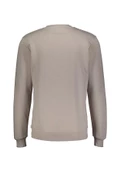 Cazador Erkek 3 İplik Sweatshirt Şardonsuz  5242 Gri - 2