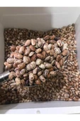 Deva Anatolia Barbunya Katkısız Doğal Yerli (1 KG) - 1
