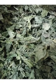 KURMEYSAN Isırgan Otu,Dızlağan, Ağdalak, Dalagan, Isırgı, Dead Nettle, Urtica Dioica Net 30 gr Kurutulmuş - 4