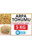 KURMEYSAN Arpa Tohumu 5 Kg Doğal Arpa Tohumu Arpa Tohumları - 1