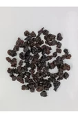KURMEYSAN Çekirdeksiz Vişne Kurusu 100 gr - 1