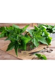 Sevinç Teyze Isırgan Otu, Dızlağan, Ağdalak, Dalagan, Isırgı, Dead Nettle, Urtica Dioica 90 G. - 3