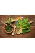 Sevinç Teyze Isırgan Otu, Dızlağan, Ağdalak, Dalagan, Isırgı, Dead Nettle, Urtica Dioica 30g - 2
