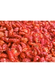 KURMEYSAN Domates Kurusu Çeri ( Gurme) 100 gr - 2