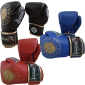 DragonDo 30218-P Martina Muaythai Federasyon Onaylı Boks Eldiveni - 1