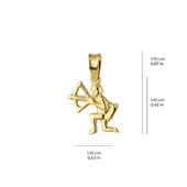 14 Ayar Altın Kova Burç Kolye Ucu 0,62 gr - 2