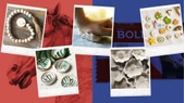Smarta BOLD Beyaz (500g x 24) - 2
