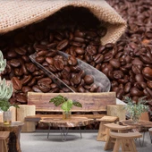 Kahve Çekirdeği Cafe Duvar Kağıdı Baskı - 1