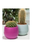 Bitki Ve Kaktüs Saksısı 0,13 Lt 1 No Royaleks-ES01 - 1