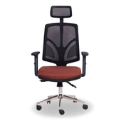 Theori Yönetici Koltuğu - 3