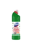 Domestos 806 GR DAĞ ESİNTİSİ - 2