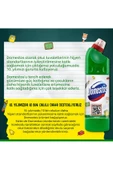 Domestos 806 GR DAĞ ESİNTİSİ - 4