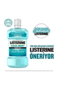 Listerine Cool Mint Hafif Tat Alkolsüz Ağız Bakım Suyu 250Ml - 4
