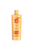 Elidor Collagen Blends Sülfatsız Saç Bakım Şampuanı Goodbye Hairfall Saç Dökülmelerine Karşı 350 ml - 2