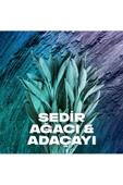 Axe Erkek Sprey Deodorant Apollo 48 Saat Etkileyici Koku 200 ml - 4
