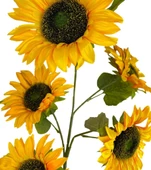 Nettenevime Yapay Çiçek Ayçiçeği Sarı Sunflower Dekoratif Çiçek 105cm Dev Ay Çiçeği 5 Kafalı thumbnail 5