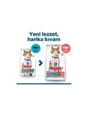 Hills S.P Somonlu Kısırlaştırılmış Yetişkin Kedi Maması 13+2 Kg - 2