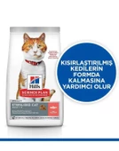 Hills S.P.Somonlu Kısırlaştırılmış Yetişkin Kedi Maması 3 Kg - 1