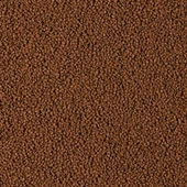 Tropical D-Allio Plus Granulat Balık Yemi 250 ml - 4