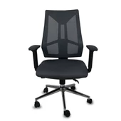 Londra Fileli Gri Şef Koltuğu - 1