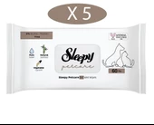 Petcare Evcil Hayvan Islak Havlusu 60lı x 5 Adet (300 Yaprak) - 1