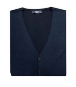 Regular Fit Erkek Düğmeli Triko Yelek-6910 - 1