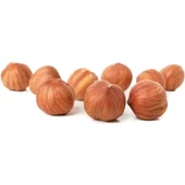 1KG ÇİĞ FINDIK İÇİ GİRESUN - 3
