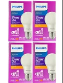 Philips 8W (60W) 2700K (Sarı Işık) E27 Duylu Klasik Led Ampul (4 Adet) thumbnail 1