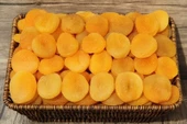 1KG KAYISI MALATYA - 3