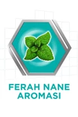Corega   Süper Protez Yapıştırıcı Krem Naneli 40gr - 2
