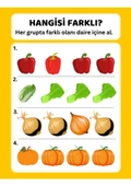 Okul Öncesi Farklı Olanı Bul YAZ-SİL Kitabı - 4