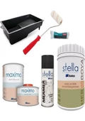 BİANCA BOYA SET-KUM BEJİ 1 LT - 1
