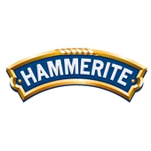Marshall Hammerite Düz Gümüş 2.5 Lt (3,5 Kg) - 3