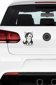 Kedi Araç Sticker 21x29 cm, Oto Sticker, Araba Sticker - 1