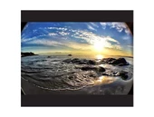 Balık Gözü Cep Telefonu Lensi (Tüm Modellere Uyumlu) - 3