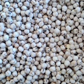 1KG ÇİFT KAVRUK BEYAZ KÖY LEBLEBİSİ - 3