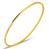 Ajda 14 Ayar Altın Bilezik thumbnail 1