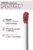 Plump Up Extra Hydrating Plumping Gloss - Dolgunlaştıran Dudak Parlatıcısı 212 Rosewood - 3
