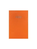 Liz Ajanda Ekonomik Cilt Bezi Çizgili 14x20 CM 2025 Yılı Ajanda (Karışık Renk 1 Adet) thumbnail 5